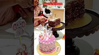 CELEBRATE DOG BIRTHDAY CAKES 🎂🐕  NATURAL DOG CAKES HYDERABAD PET FOOD SHOP [upl. by Foss383]