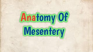 Anatomy of Mesentery l abhishekghoolibmcri [upl. by Suoivatnod371]