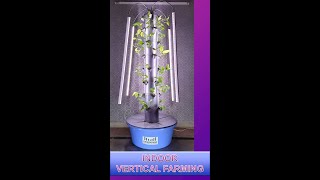 Aeroponic Vertical Indoor Farming In India [upl. by Sharity]