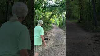 Chickasaw National Recreation Area Travertine Creek Trail hiking deer wildlifeencounters [upl. by Aleirbag]