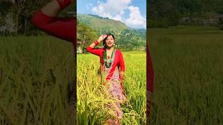 Jam Bho Maili  Prakash Dutraj  Shanti Shree Pariyar  Ft Roshni amp Niks  New Lok Dohori Song 2078 [upl. by Diana]