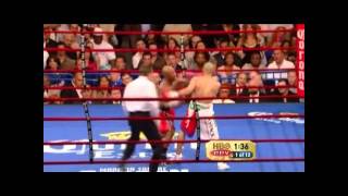 Zab Judah perfect Uppercut [upl. by Tsugua]