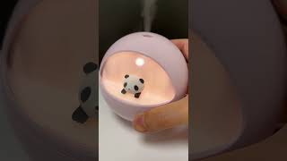 Panda Humidifier Japan Souvenir Shorts [upl. by Irving]