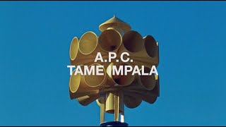 APC TAME IMPALA Interaction 25 Anthem [upl. by Nnahgaem72]