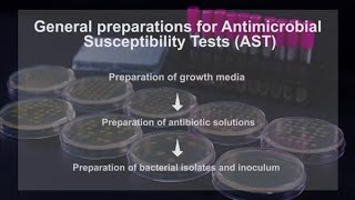 Veterinary Antimicrobial Susceptibility testing VAST fo rBacteria Isolated from Animals [upl. by Roosnam977]