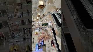 phoenix palassio mall in lucknow [upl. by Hopfinger731]