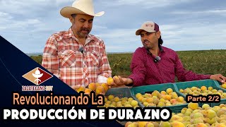 AGRICULTORES EXITOSOS PUEBLO EXITOSO Siempre Fruto de Calidad [upl. by Mccreery725]