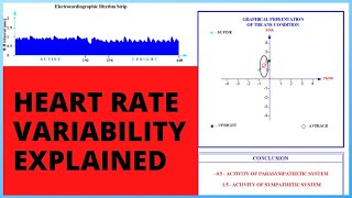 Heart Rate Variability Explained [upl. by Prady]