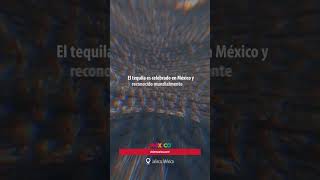 Tequila 🇲🇽 Autentica bebida mexicana [upl. by Aniuqahs12]