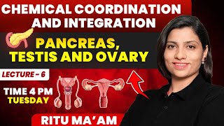 Pancreas Testis and Ovary Lecture 6  Chemical Coordination and Integration Ritu Rattewal [upl. by Ricketts]