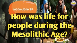 Mesolithic Age In Indiaindianhistory ancientindia upsc [upl. by Malilliw738]