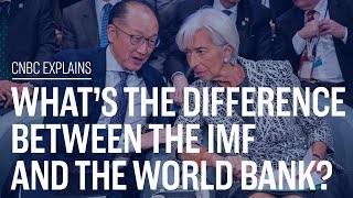 Whats the difference between the IMF and the World Bank  CNBC Explains [upl. by Gathers]