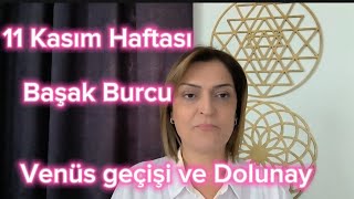 11 Kasım Haftası Başak Burcu ve Yükselen Başak Burçlarını Neler Bekliyor [upl. by Neras584]