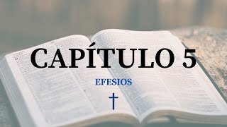 Efesios 5  AudioBiblia RV1909 [upl. by Ecnarual]