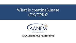 What is creatine kinase [upl. by Flossie538]