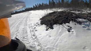 Video 240529V CF8Kid Lobstick Cabin our next stop [upl. by Jed]