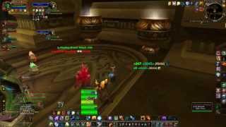 Resto shaman with healbot  patch 401 [upl. by Atled56]