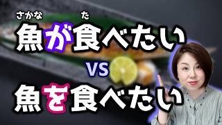 解鎖：「～が食べたい」和「～を食べたい」有什麼不同？【台灣學生最常搞錯的日語】【161】 [upl. by Adila]