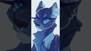 The leaders and their downfalls edit song bluestar blackstar nightstar tallstar ect [upl. by Sato381]