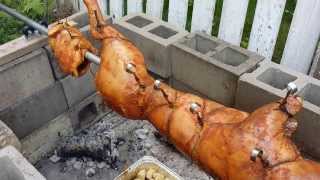 DIY home made backyard Pig and Chicken rotisserie [upl. by Thetisa]