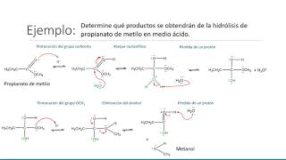 Hidrólisis de Ésteres [upl. by Leontyne]