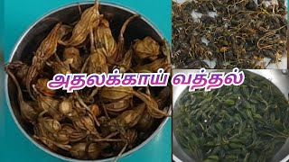 Athalakkai vatthal in tamil  Athalakkai recipe in tamil Namma Daily Notes [upl. by Latsyk]