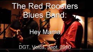 The Red Roosters Blues Band Hey Mama [upl. by Suu625]