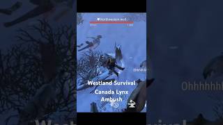 Westland Survival  Canada Lynx Ambush [upl. by Asseralc]