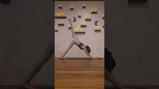 Slow vinyasa flow [upl. by Landan]