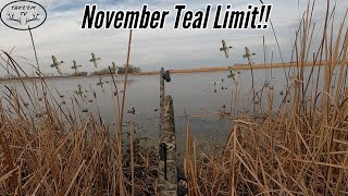 November Teal Limits   Buddy’s First Duck Ever [upl. by Leihcey]