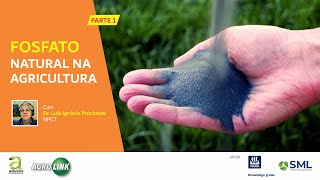 298  FOSFATO NATURAL NA AGRICULTURA  ENTREVISTA COM DR LUIS I PROCHNOW  PARTE 1 [upl. by Litton753]