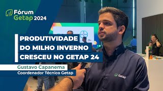 Produtividade média do milho inverno 2024 do Getap cresceu ante 2023 ao contrário da média geral [upl. by Cynarra]