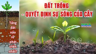 HIỂU VỀ ĐẤT CÂY TRỒNG  Nông dân cần biết bí quyết giúp đất đai màu mỡ cây phát triển khỏe mạnh [upl. by Scrope510]