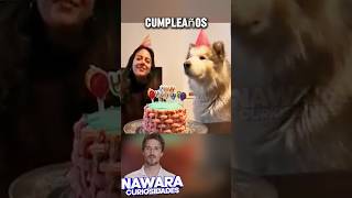 Perro canta en su cumpleaños [upl. by Jovitta]