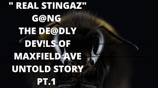 quotTHE DEDLY STINGAZ GNGquot FROM MAXFIELD AVE EPIC UNTOLD STORY PT 1 [upl. by Vevina]