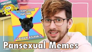 The Memes of Pansexual [upl. by Thorley]