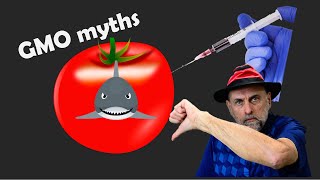 The Truth about GMOs that Every Gardener Should Know [upl. by Akinet280]