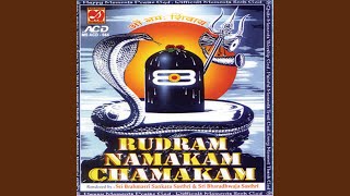 Rudram Namakam Chamakam [upl. by Feeney]