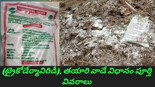 ట్రైకోడెర్మా విరిడి తయారుచేయటం  Trichoderma Viride Preparation Details Telugu  VillageAgriculture [upl. by Anez]