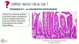 Introduction à lHistologie [upl. by Malan]