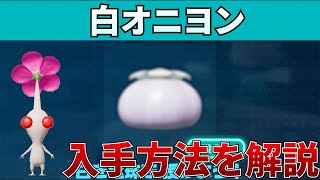 【ピクミン４】白オニヨンの入手方法を解説 [upl. by Giarc]