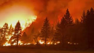 Evacuations as Tamarack Fire in California Grows to 21000 Acres [upl. by Ginnifer130]