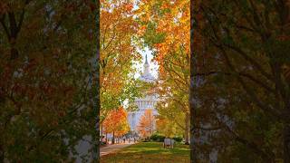 Sony A6700 Sigma 56mm F14  Fall POV Photography [upl. by Raymonds]