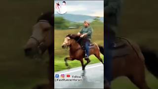 विदेशी घोड़े की सिंधी चाल 🏇 horseriding horselover sindhihorse animal horse horseshorts [upl. by Sivek]