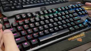 MOST BUDGET Mechanical keyboard Tecware Phantom RGB TKL [upl. by Notaek]