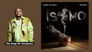 Kabza De Small amp Mthunzi  Isimo Full AlbumEp  Kabza De Small Amapiano SongsMix 2023  AMAPIANO [upl. by Norven46]