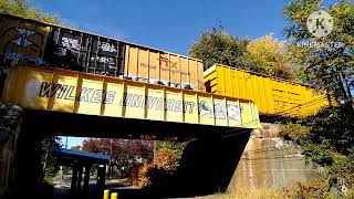 Norfolk Southern Heading South on Sunbury Line October 20 2024 [upl. by Etnomed]