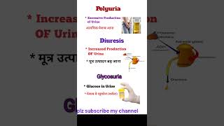 Medical Terminologypolyuria  DiuresisGlycosuriaMedical Terms short vedeo [upl. by Lav]