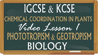 WithMe KCSE amp IGCSE Biology Coordination and Response in Plants  Phototropism amp Geotropism [upl. by Akvir716]