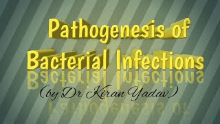 Microbiology lectures Pathogenesis of bacterial infectionsBacteriology [upl. by Saleem92]